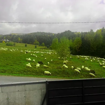 Lägenhetshotell Pieninska 123 3*